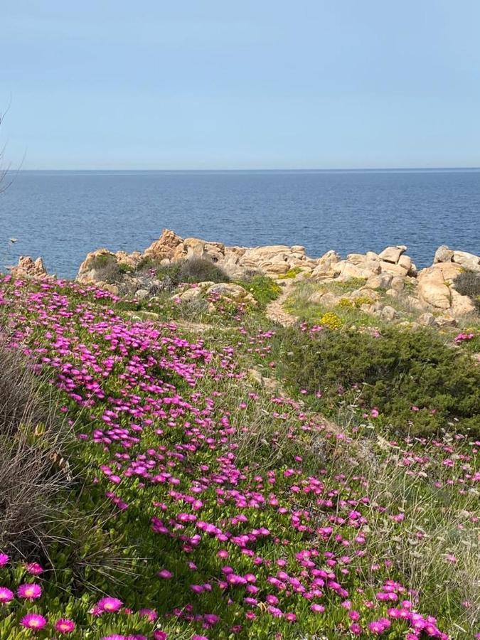 Casa Mughetto R5055 Seafront, Private Sea Access, Swimming Pool Villa La Maddalena  Eksteriør billede