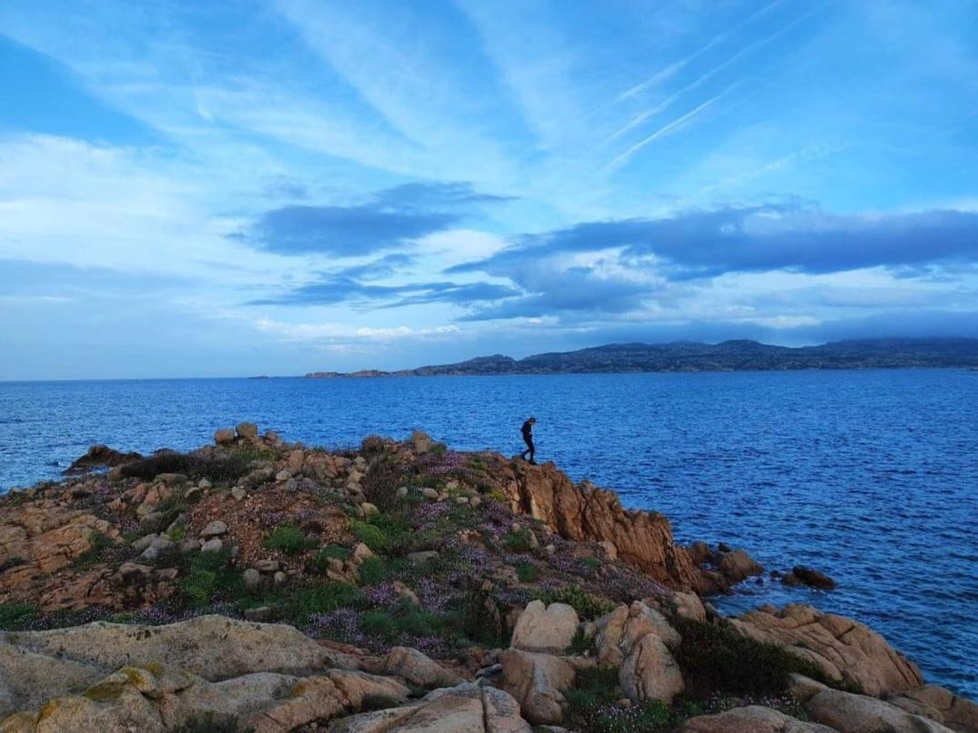 Casa Mughetto R5055 Seafront, Private Sea Access, Swimming Pool Villa La Maddalena  Eksteriør billede